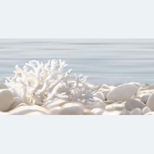 Del Mare 25х50 DWU09DLM624 Декор