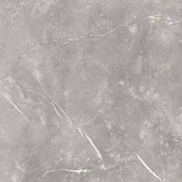 Charme Evo Imperiale Pet 80х80 Керамогранит Серый