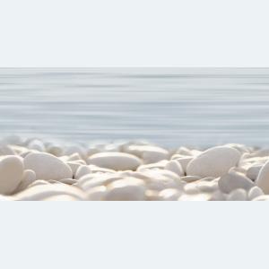 Del Mare 25х50 DWU09DLM604 Декор