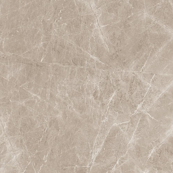 Neodom Marblestone Frappuccino Taupe Polished 120x120 Универсальная