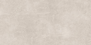 Neodom London Pietra Grey Matt. 60x120 Универсальная
