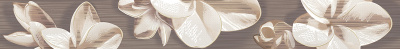 Amati Plumeria Alba 6х50,5 Бордюр
