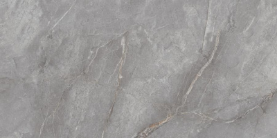Neodom Belvedere Orobico Grey Pol. 60x120 Универсальная