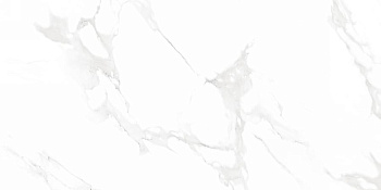Neodom Splendida Venus Bianco Pol. 60х120 Универсальная