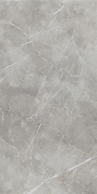 Charme Evo Imperiale Pet 80х160 Керамогранит Серый