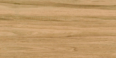 Bonaparte Greenwood Great 60x120 Керамогранит
