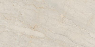 Neodom Belvedere Crystal Luxe Pol. 60x120 Универсальная