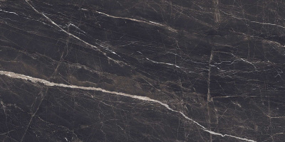 Colortile Evolic Nero 120x60 Керамогранит