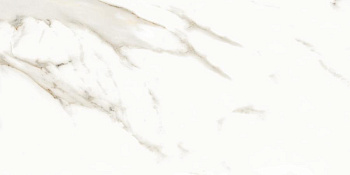Neodom Splendida Marmol Carrara Pol. 60х120 Универсальная