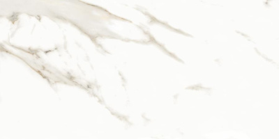 Neodom Splendida Marmol Carrara Pol. 60х120 Универсальная