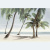 Ailand 40х60 PWA11ALD2 Панно, 2 плитки Ailand 40х60 PWA11ALD2 Панно, 2 плитки