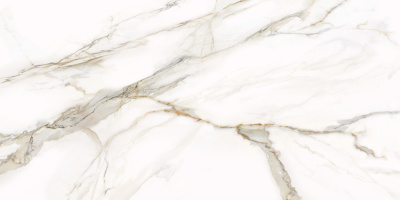 Omega Gold 60x120 D12054M Плитка универсальная/керамогранит