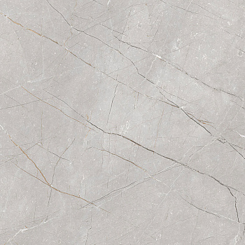 Larice Grey 60x60 Керамогранит