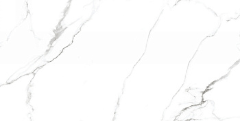 Neodom Splendida Mckinley Pol. 60х120 Универсальная