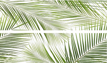 Brennero Tropic 50х75 Панно
