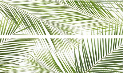 Brennero Tropic 50х75 Панно