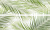 Brennero Tropic 50х75 Панно