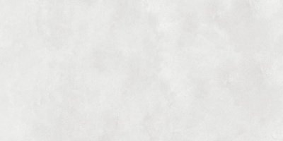 Neodom Cemento Concrete White Matt 60х120 Универсальная