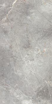 Charme Evo Imperiale Lux60X120 Керамогранит Серый