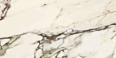 Neodom Splendida Calacatta Venato Pol. 60x120 Универсальная