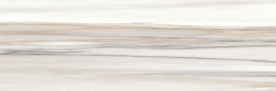 Palissandro Dark 24,6x74*10 WT15POL31R Плитка настенная 