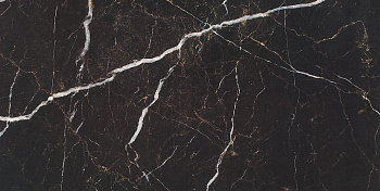 Marble Porcelain Marrone Oriente Pol 30x60 Керамогранит 