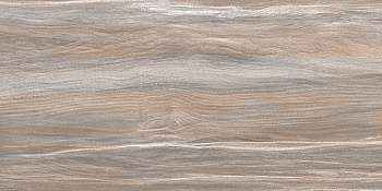Esprit Wood 25x50*9 WT9ESR21 Плитка настенная