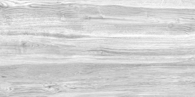 Woodmix 25x50 TWU09WDX707 Плитка настенная