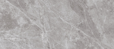 Neodom Titanium Belgium Grey Pol. 120x280 Универсальная