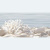 Del Mare 25х50 DWU09DLM624 Декор Del Mare 25х50 DWU09DLM624 Декор