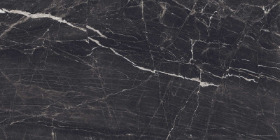 Colortile Evolic Nero 120x60 Керамогранит
