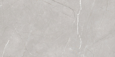 Larice Grey 60x120 Керамогранит