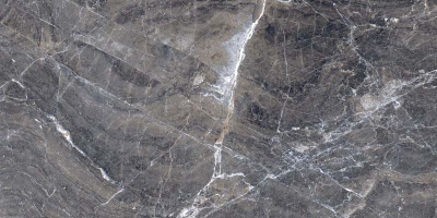 Italica Besar Grey Polished  60x120 Плитка универсальная/керамогранит