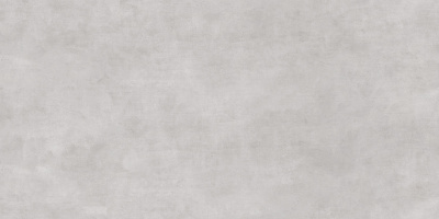 Dixon Titan 60x120 D12010M Плитка универсальная/керамогранит