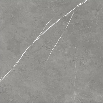 Forte Dei Marmi Elegant Grey Mat. 80x80 Керамогранит