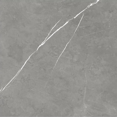 Forte Dei Marmi Elegant Grey Mat. 80x80 Керамогранит