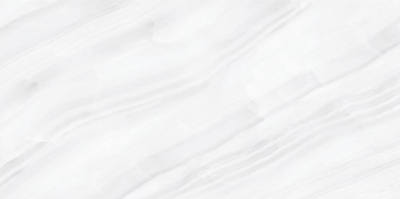 Palacio Stelia Light Grey Polished 60x120 Универсальная