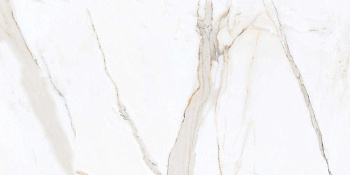 Regal Carara PR203 Pol. 60x120 Керамогранит