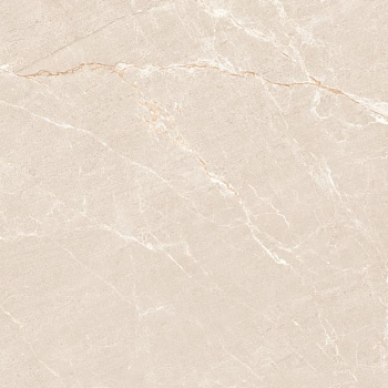 Neodom Rockstone Persian Beige Matt 120x120 Универсальная