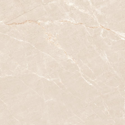 Neodom Rockstone Persian Beige Matt 120x120 Универсальная