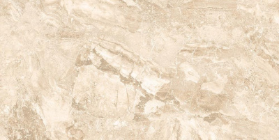 Brecia Ivory PR204 Pol. 60x120 Керамогранит
