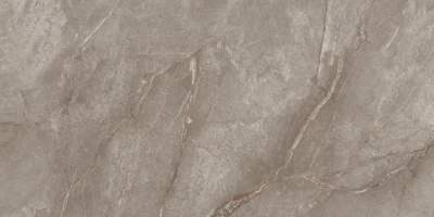 Neodom Belvedere Orobico Brown Pol. 60x120 Универсальная