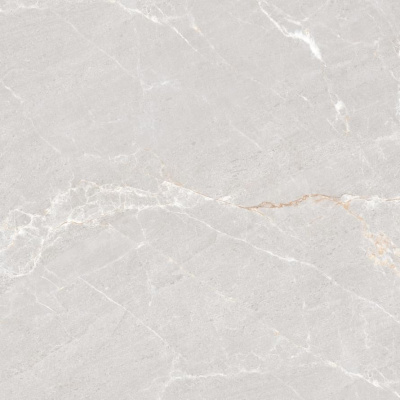 Neodom Rockstone Persian Grey Matt 120x120 Универсальная