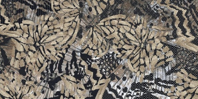 SN Colorado Brown Décor 60X120 60x120 Декор