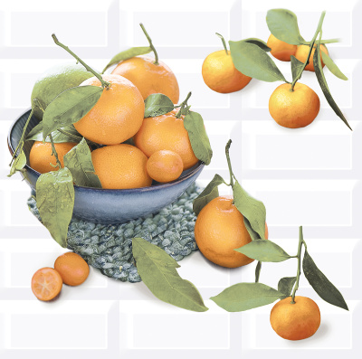 Vogue Citrus 2 40х40,5 Панно