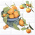 Vogue Citrus 2 40х40,5 Панно