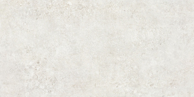 Terrazzo 60х120 TZ612NTT9501L Керамогранит светло-серый