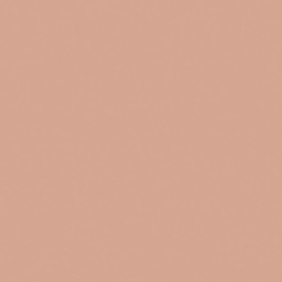 Bauhome Rose 20х20 Плитка универсальная/керамогранит