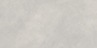 Neodom Cemento Newport Gris Matt. 60x120 Универсальная