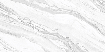 Statuary Venato 60x120 D12065M Плитка универсальная/керамогранит